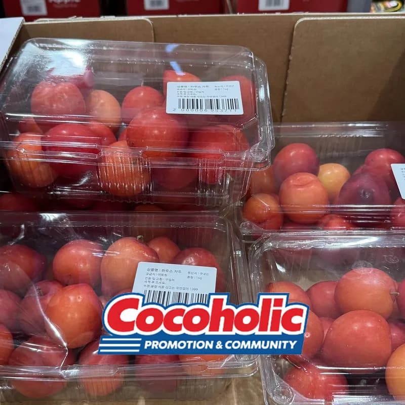 하우스 자두(1KG)원산지:국내산