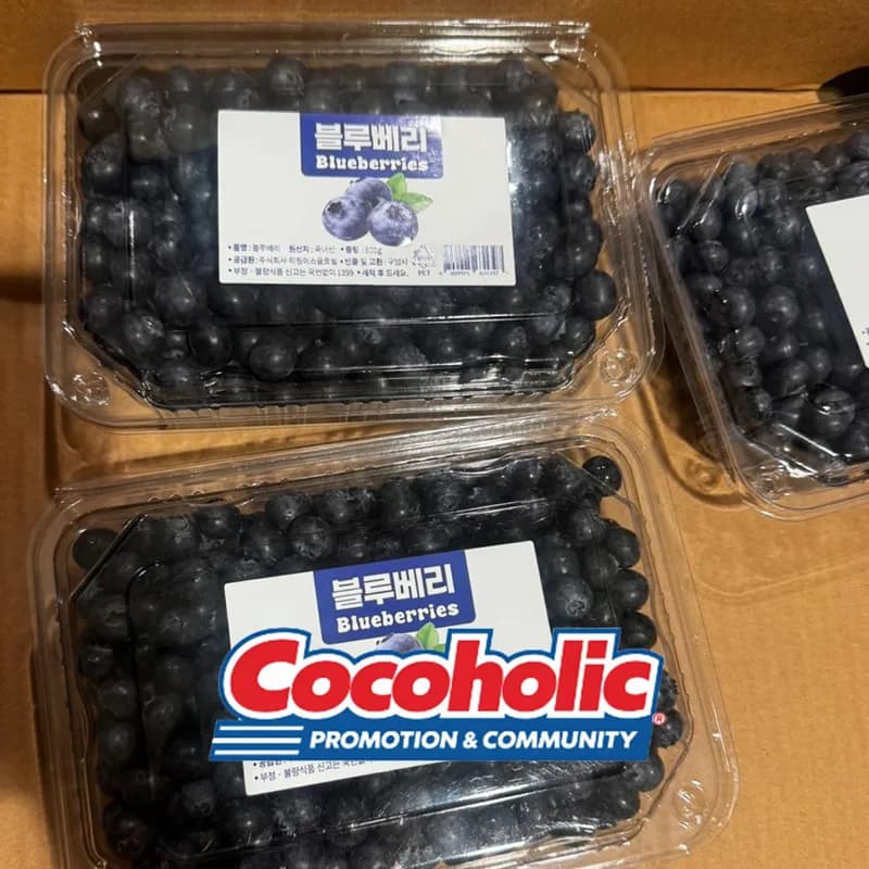 무농약 블루베리 (500G) 원산지 : 국내산