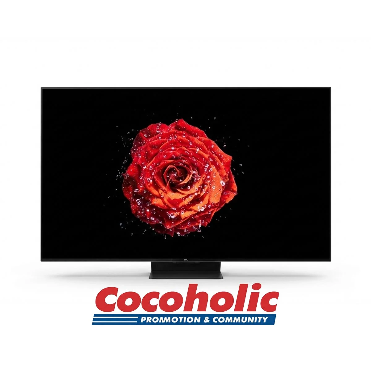 TCL QD-MINI LED TV 75형 189CM Q9B 75