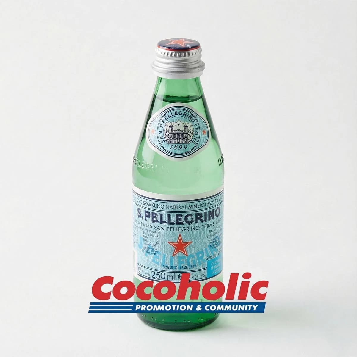 SAN PELLEGRINO 산펠레그리노 탄산수 250ML X 24병