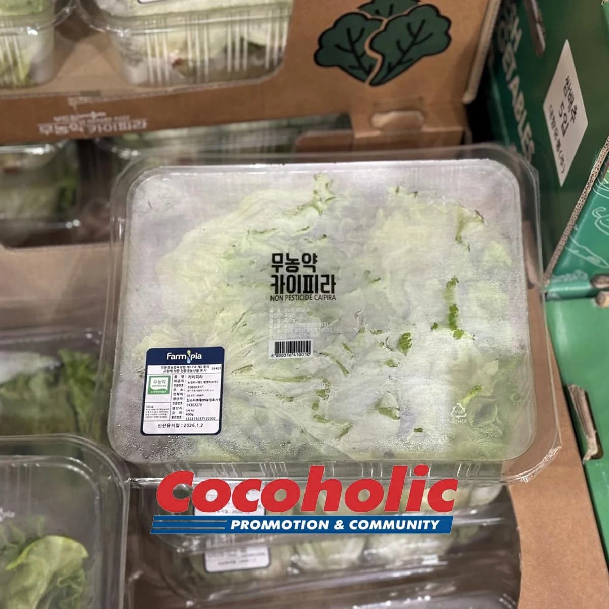 무농약 카이피라 400G 원산지: 국내산