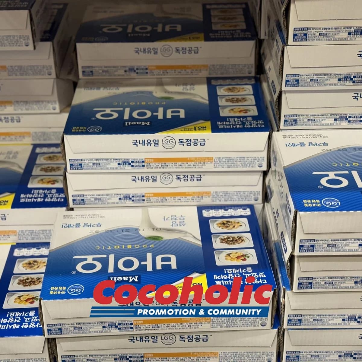 매일바이오 플레인 요거트 300GX6