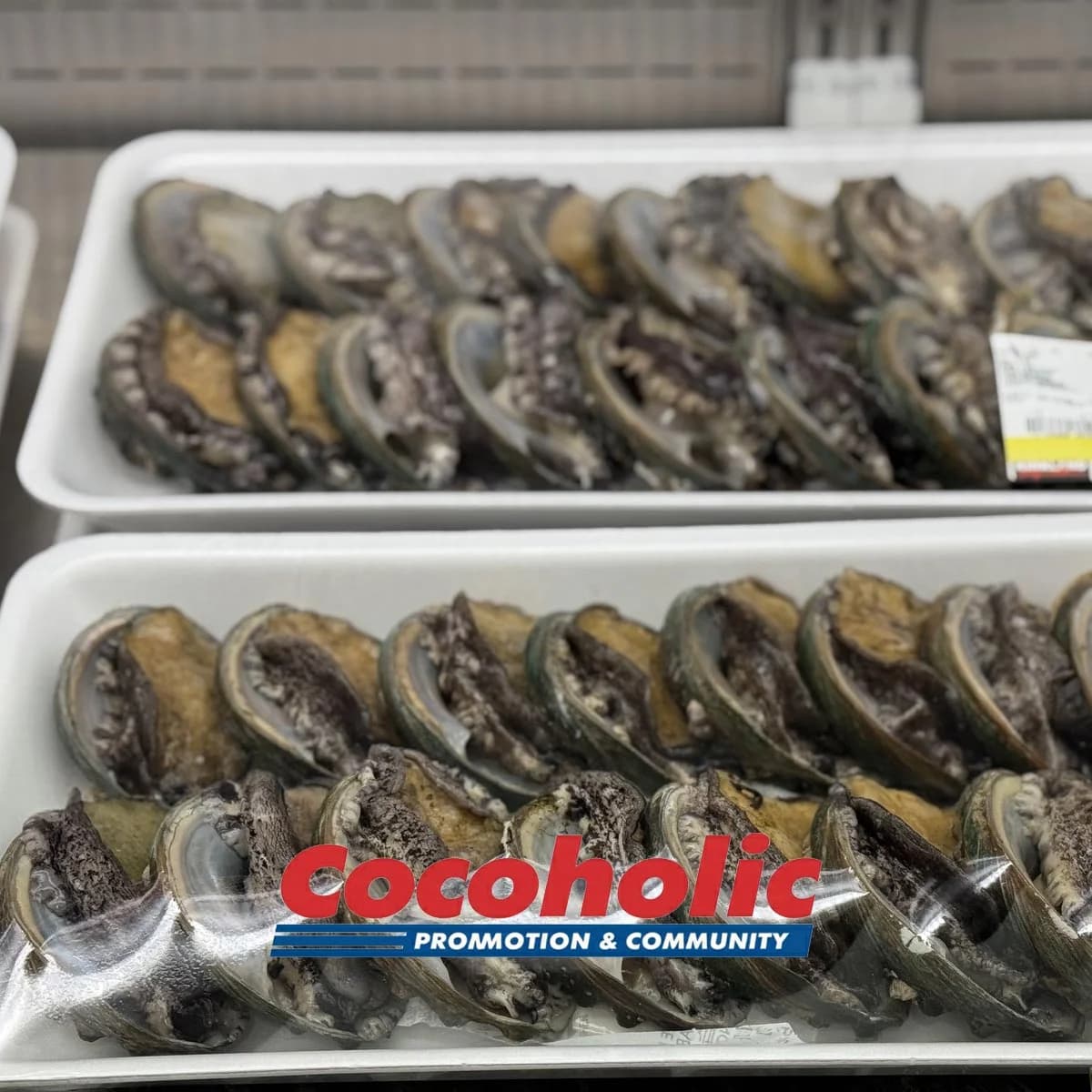 참전복(특) / 양식 원산지:국내산 KG당단가