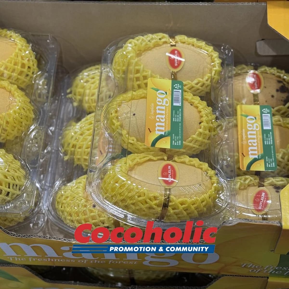 골드망고 (3입) 원산지: 태국