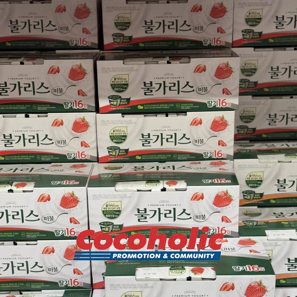 남양 떠먹는 불가리스 85GX16 딸기 / 복숭아