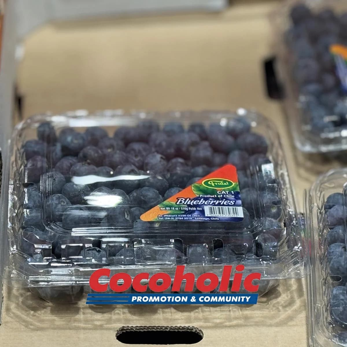 블루베리(510G) 원산지 : 칠레