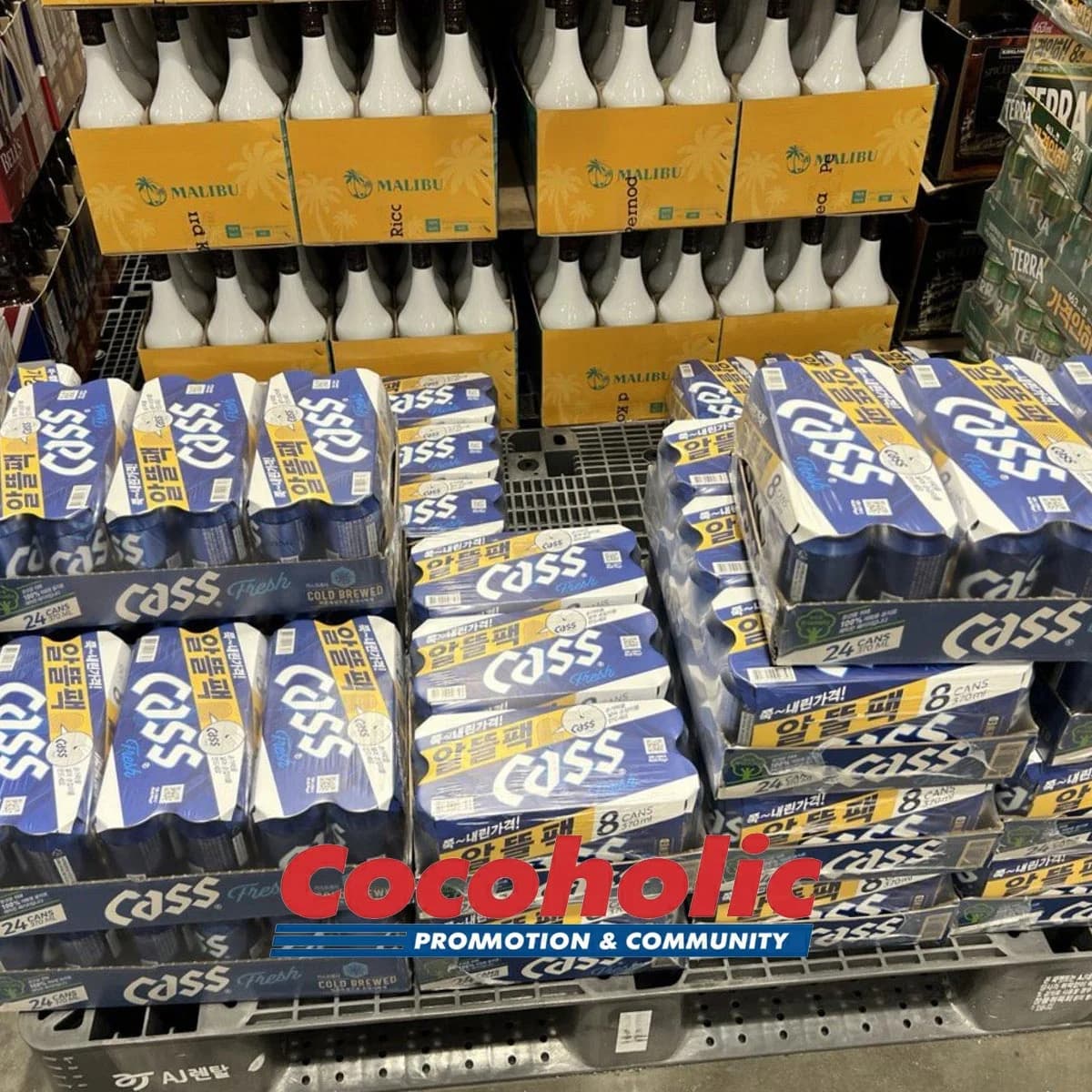 카스 CASS 캔맥주 375MLX20캔