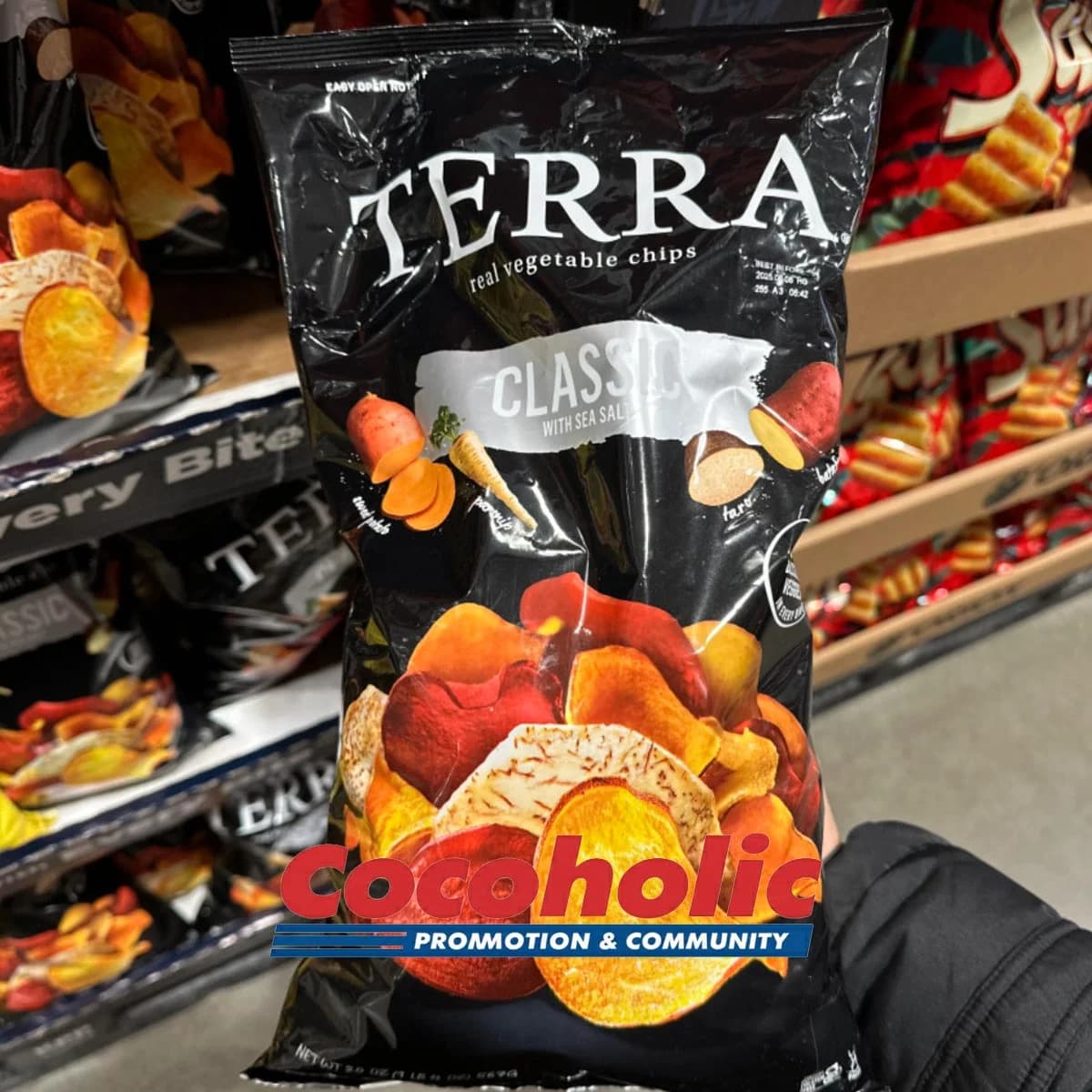 테라칩 TERRA CHIP 클래식 야패 칩 567G