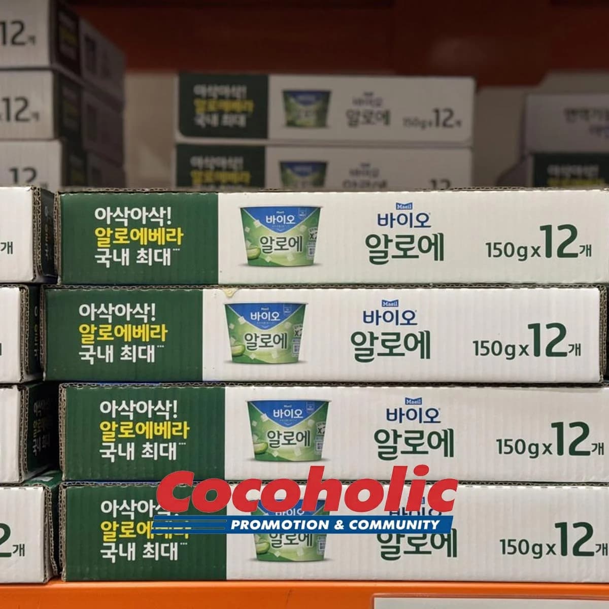 매일 바이오 알로에 요거트 150GX 12