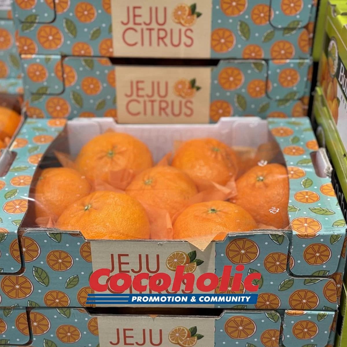 제주 레드향 (2.5KG) 원산지:국내산