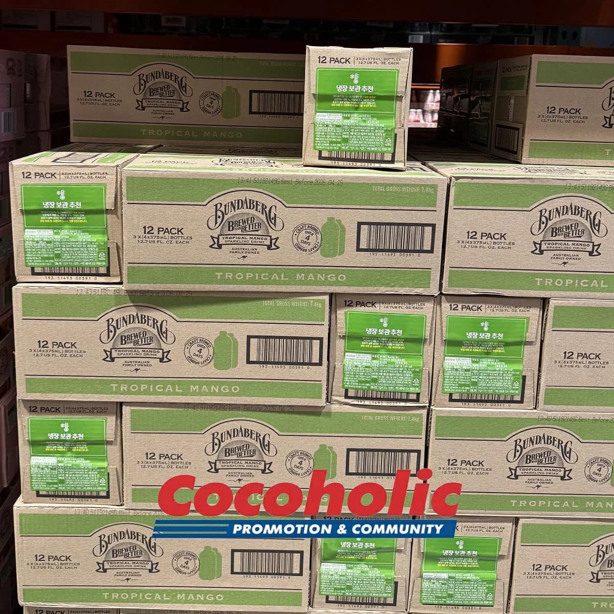 분다버그 트로피칼 망고 375MLX12병