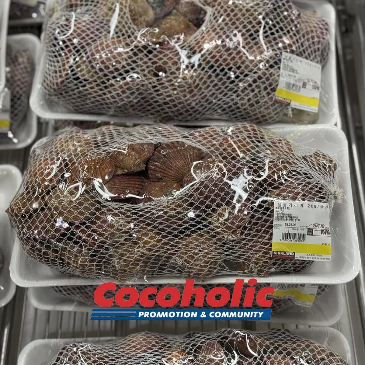 생물 가리비 원산지:국산 2KG