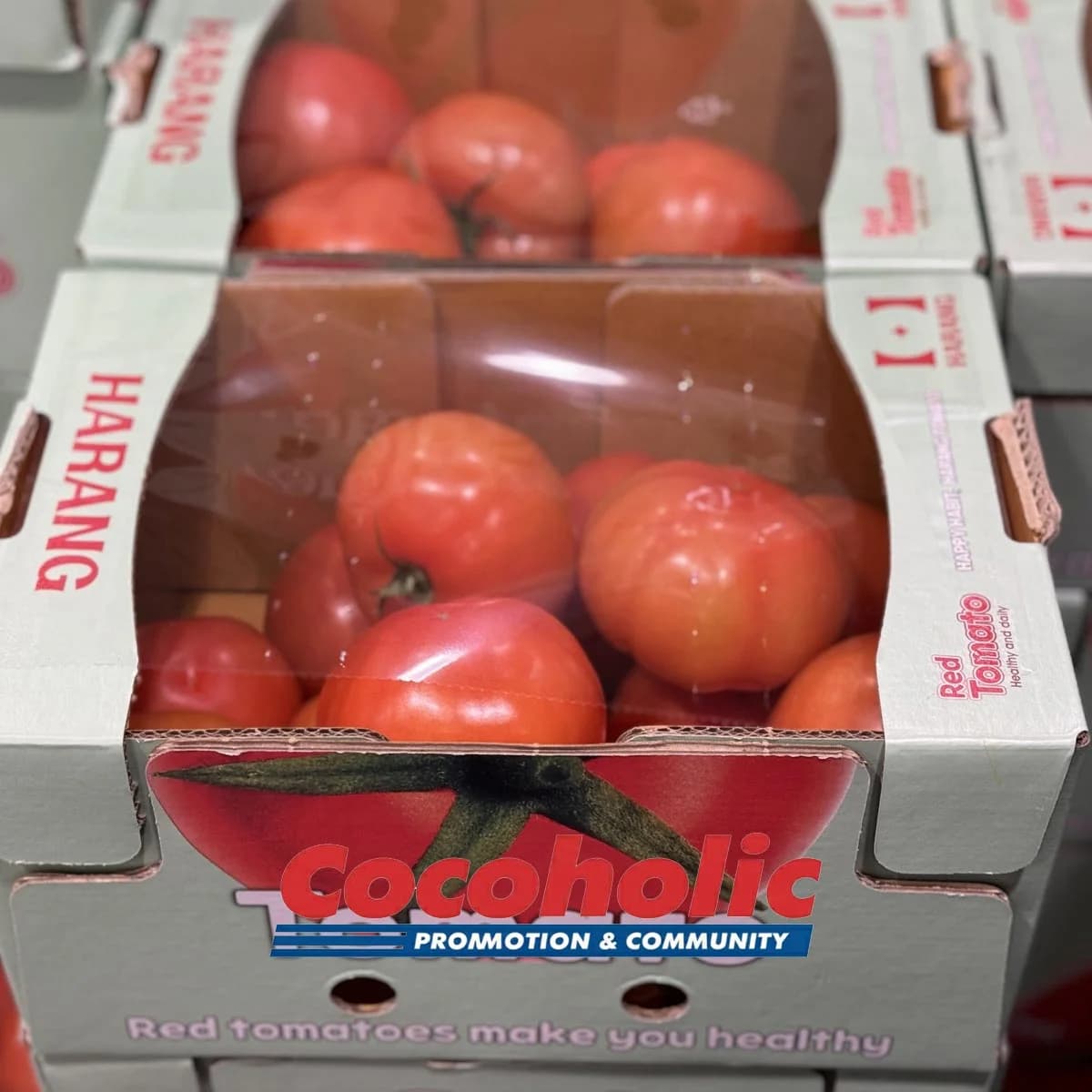 토마토 (3KG) 원산지 : 국내산