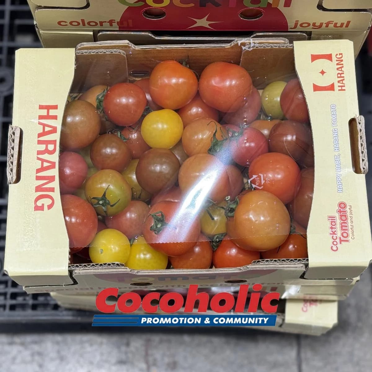 칵테일 토마토 (2KG) 원산지 : 국내산