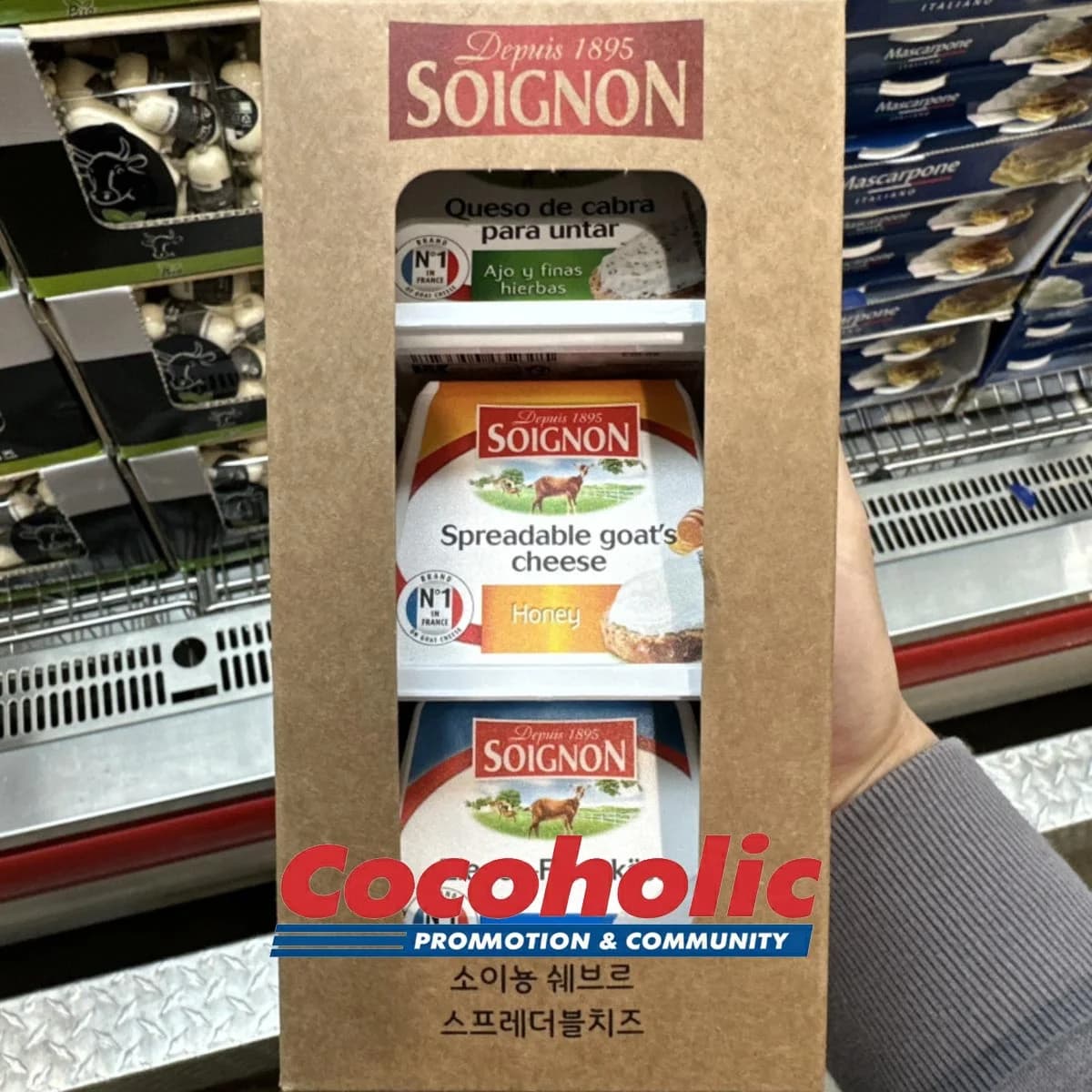 소이뇽 쉐브르 스프레더블 치즈 SOIGNON 430G